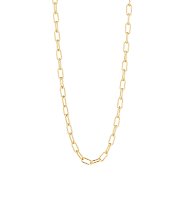 Anchor Chain long