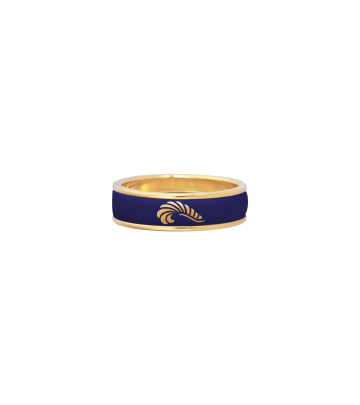 Ring Ultra