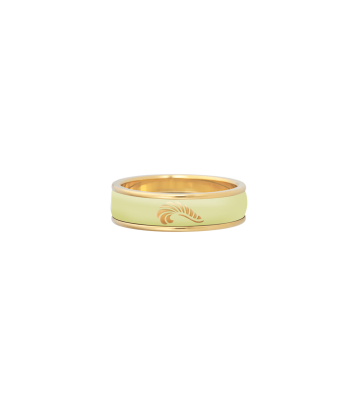 Ring Ultra