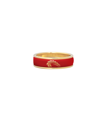 Ring Ultra