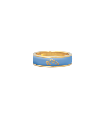Ring Ultra
