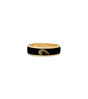 Ring Ultra